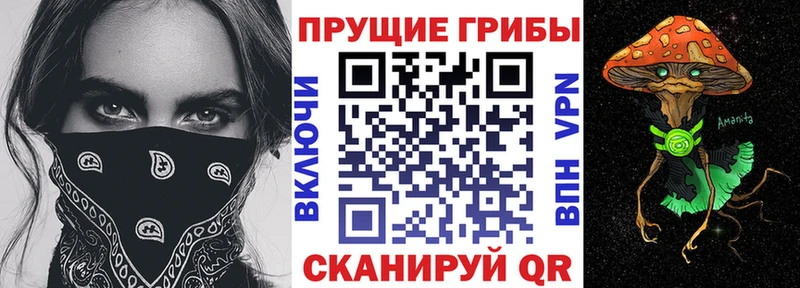 сайты даркнета Telegram  Монино  Псилоцибиновые грибы Psilocybe  MEGA зеркало 